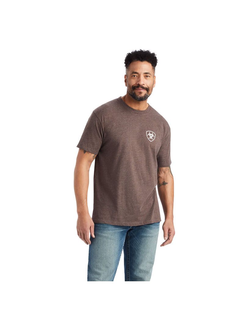 Camiseta Ariat Minimalist Marrom | YIG798420