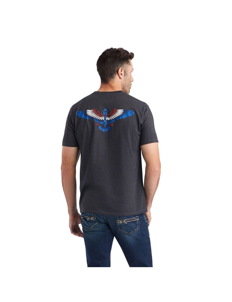 Camiseta Ariat Wingspan Grises | CFZ032418