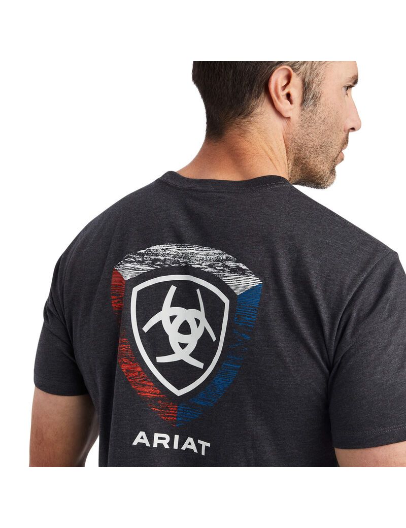 Camiseta Ariat Woodgrain Shield Grises | QIY129647