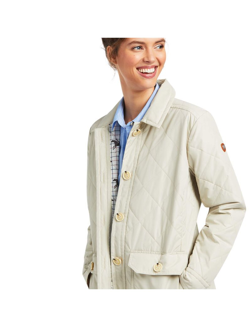 Chaquetas Ariat Belmont Shirt Grises Marrom | MYW530274