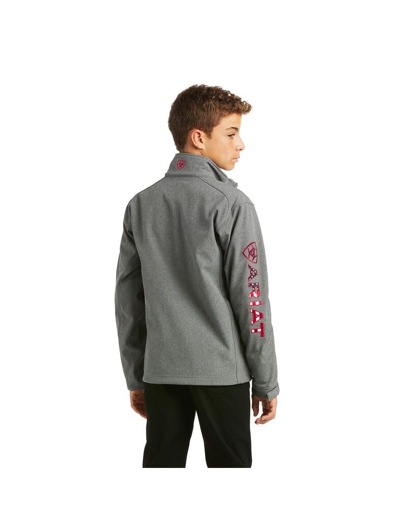 Chaquetas Ariat Logo 2.0 Softshell Grises | WOH425319