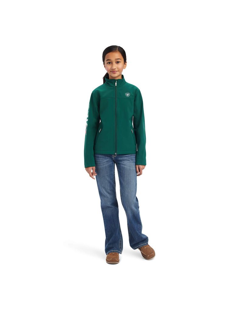 Chaquetas Ariat New Team Softshell MEXICO Multicolor | CDO532869