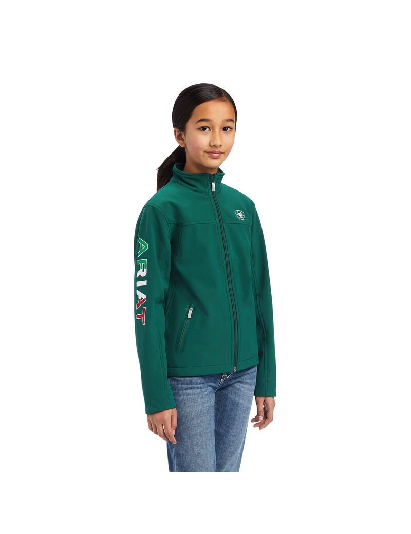 Chaquetas Ariat New Team Softshell MEXICO Multicolor | CDO532869