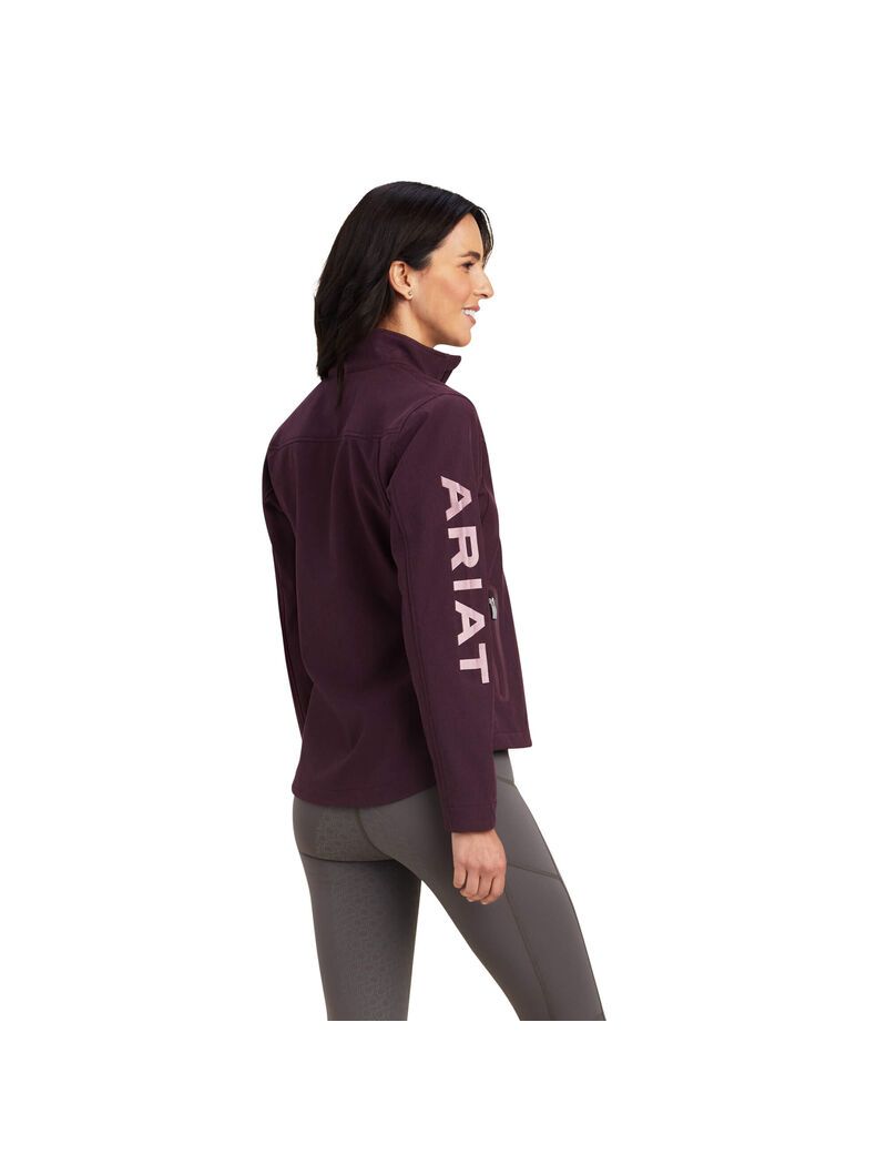 Chaquetas Ariat New Team Softshell Multicolor | EDZ078965