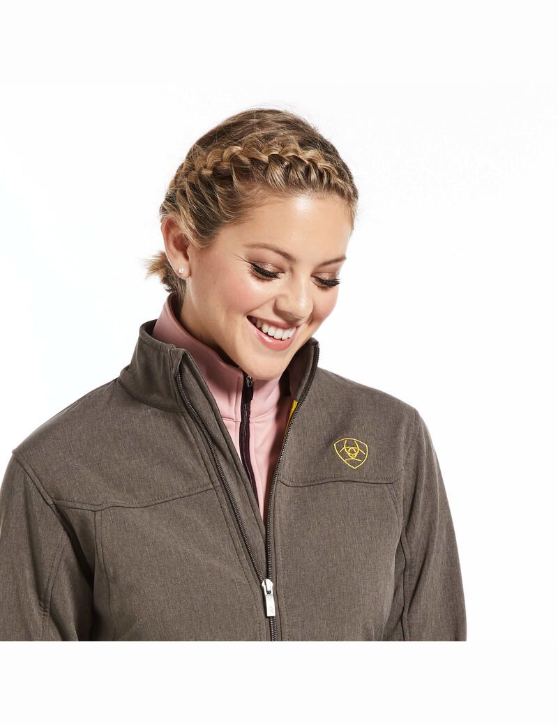 Chaquetas Ariat New Team Softshell Multicolor | SOE048357