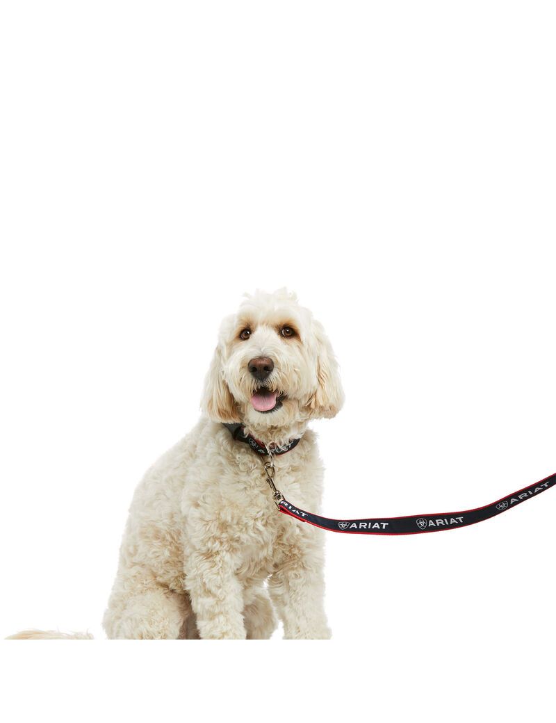 Pet Accessories Ariat Dog Leash Multicolor | SPI729134