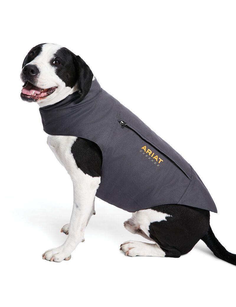 Pet Accessories Ariat Rebar DuraCanvas Insulated Dog Jackets Grises | PVU519432