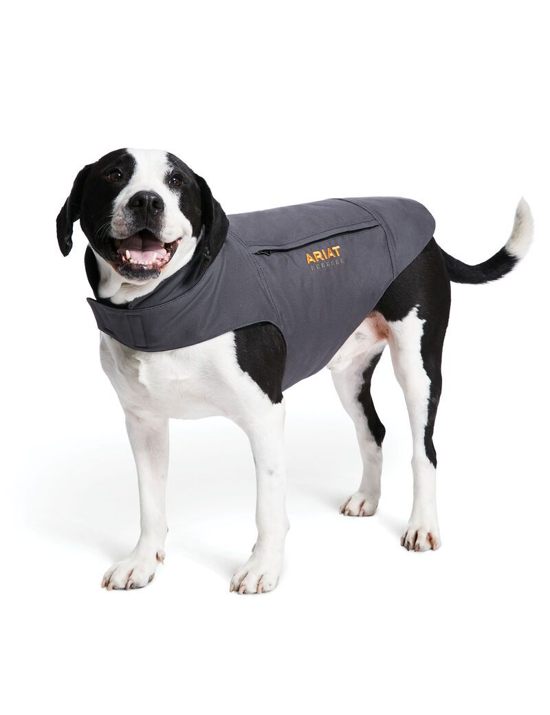 Pet Accessories Ariat Rebar DuraCanvas Insulated Dog Jackets Grises | SUN295716