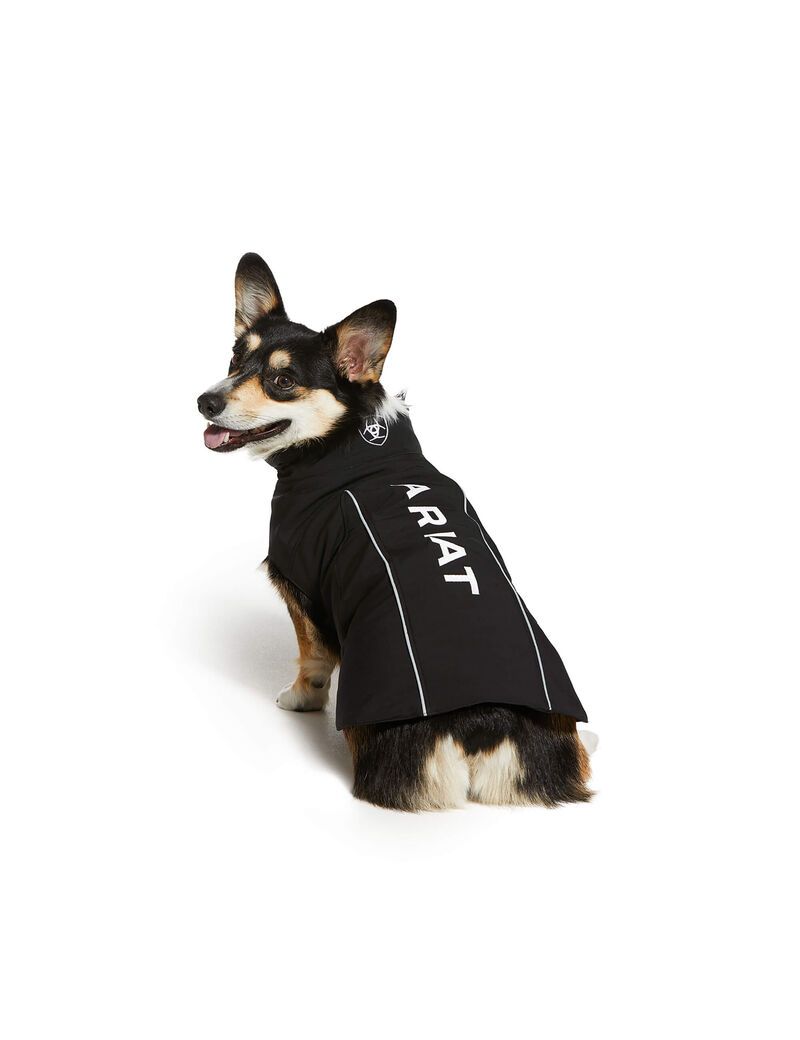 Pet Accessories Ariat Team Softshell Dog Jackets Negros | CWF180469