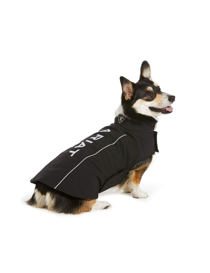 Pet Accessories Ariat Team Softshell Dog Jackets Negros | CWF180469