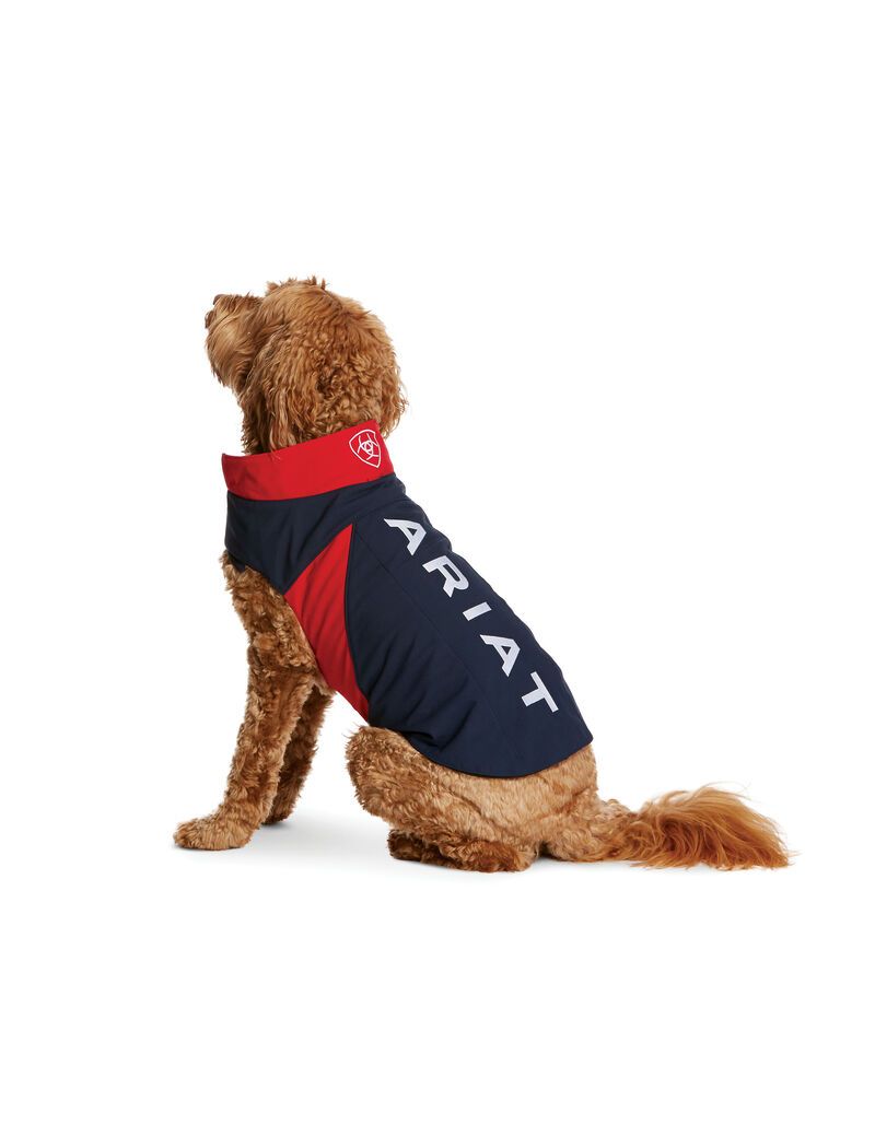 Pet Accessories Ariat Team Softshell Dog Jackets Multicolor | DSR275839