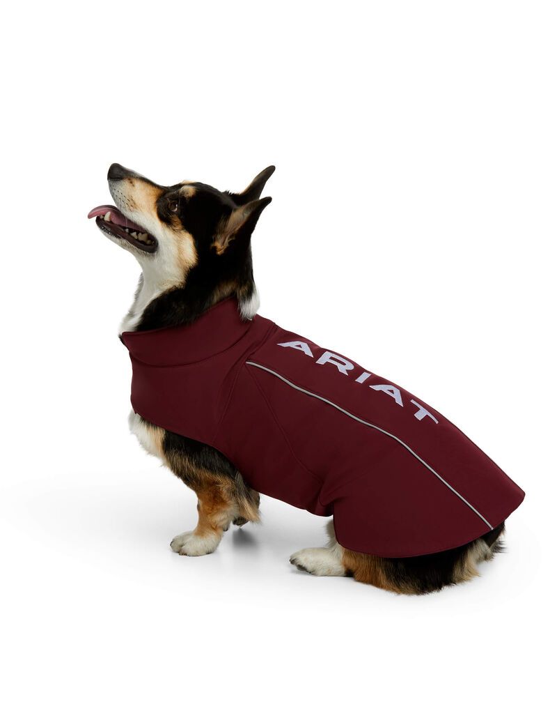 Pet Accessories Ariat Team Softshell Dog Jackets Vino | RAY129758