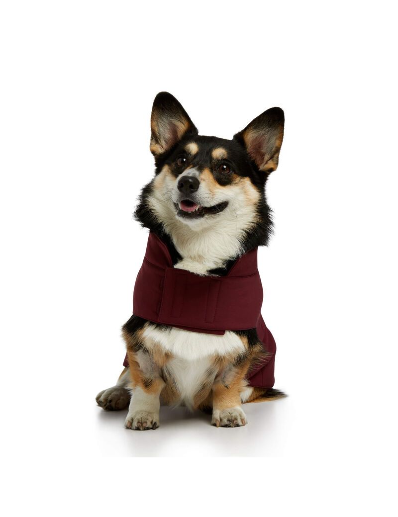 Pet Accessories Ariat Team Softshell Dog Jackets Vino | RAY129758