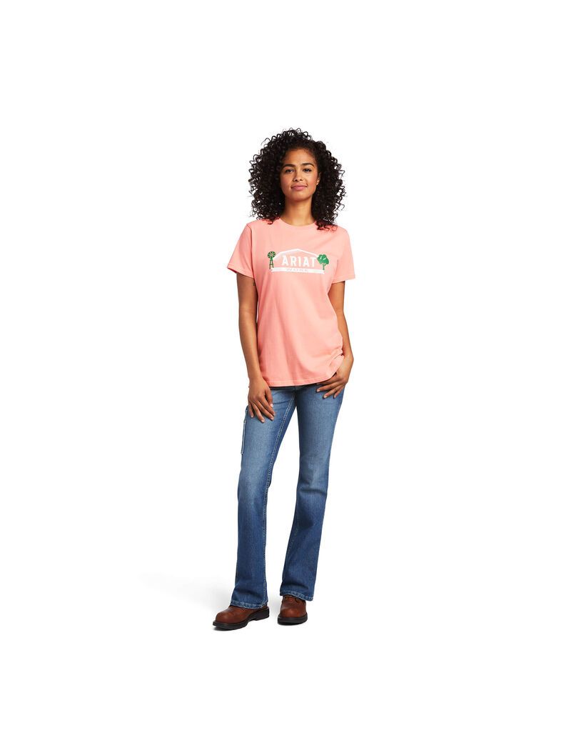 Ropa De Trabajo Ariat Rebar Algodon Strong Farm Estampados T Shirts Multicolor | KCR840975