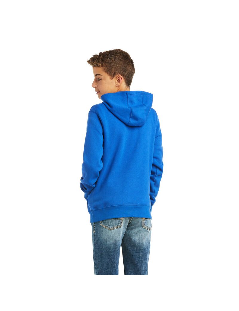 Sudadera Con Capucha Ariat Basic Sweatshirt Azules Oscuro | VQN265130