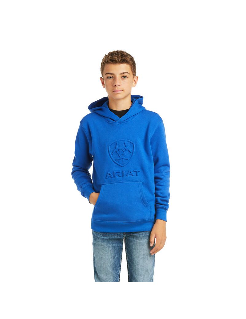 Sudadera Con Capucha Ariat Basic Sweatshirt Azules Oscuro | VQN265130