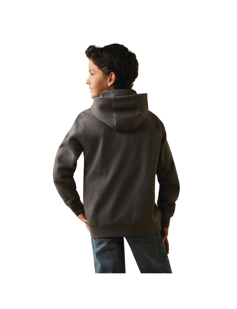 Sudadera Con Capucha Ariat Horns Southwest Grises | ULQ134290