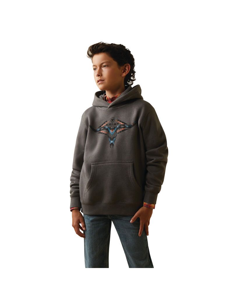 Sudadera Con Capucha Ariat Horns Southwest Grises | ULQ134290