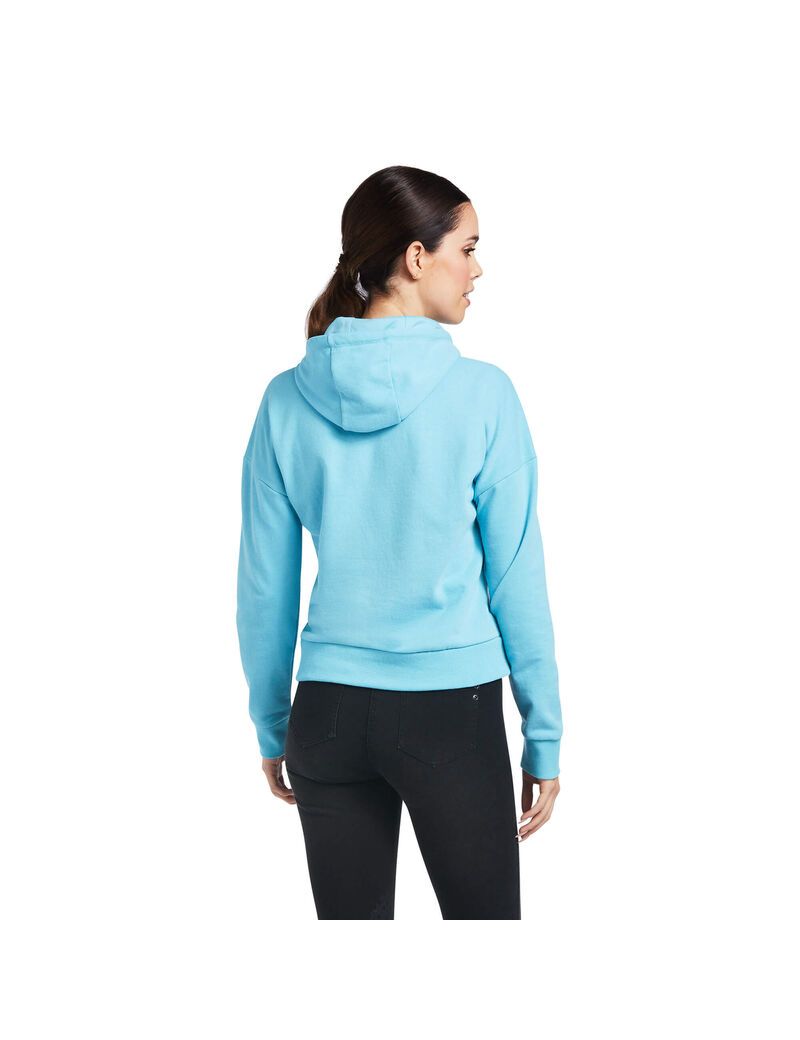 Sudadera Con Capucha Ariat Just Azules | UXM487210