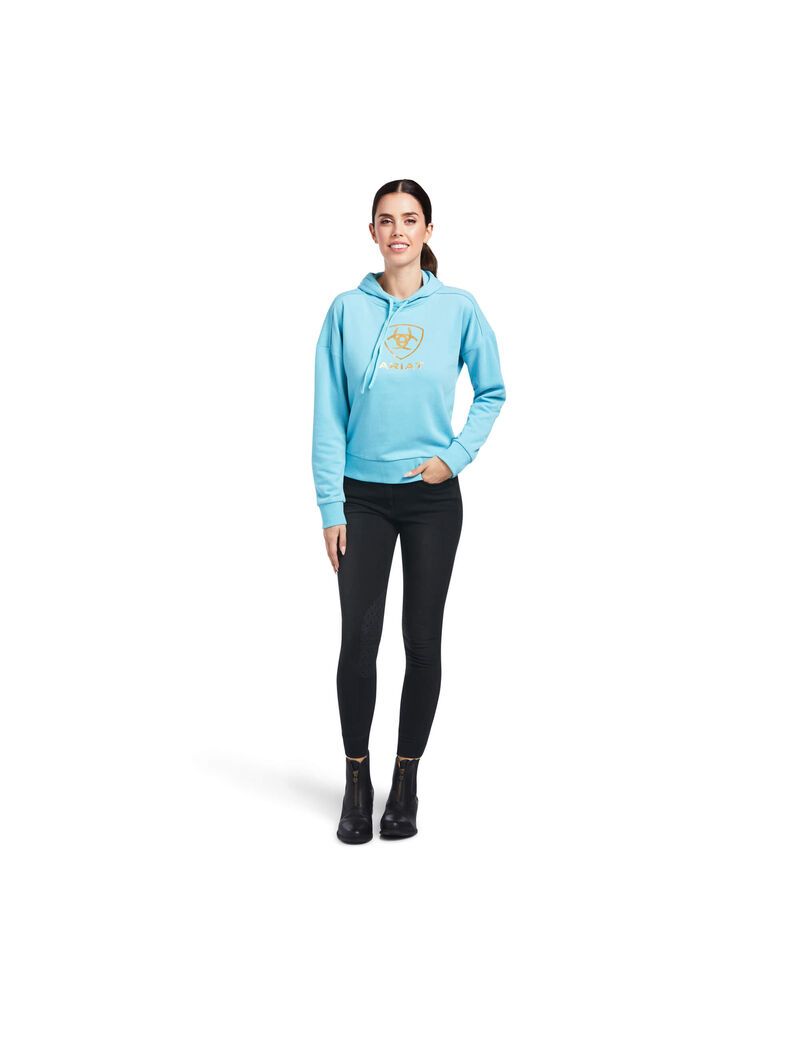 Sudadera Con Capucha Ariat Just Azules | UXM487210