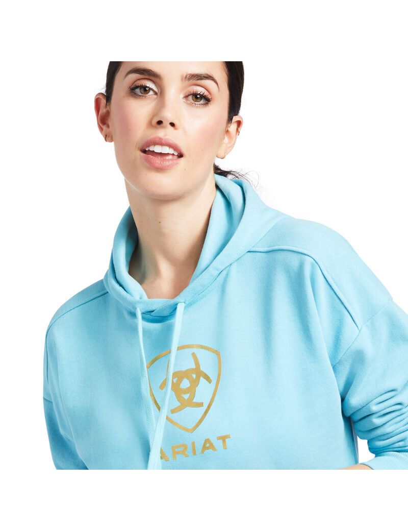 Sudadera Con Capucha Ariat Just Azules | UXM487210