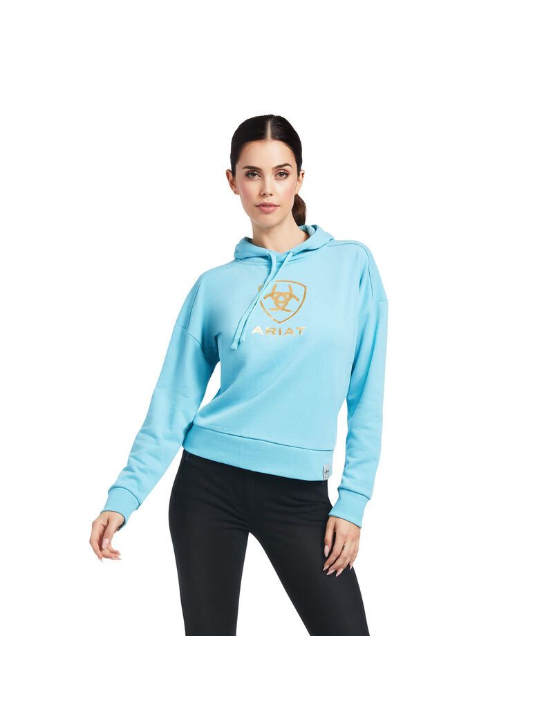 Sudadera Con Capucha Ariat Just Azules | UXM487210