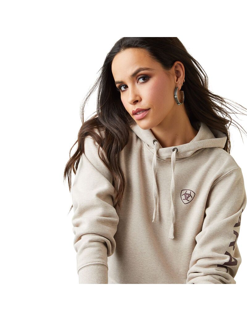 Sudadera Con Capucha Ariat Logo Beige | PHQ539027