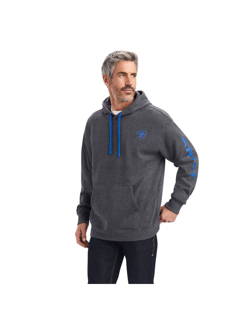 Sudadera Con Capucha Ariat Logo Grises | JPM246730