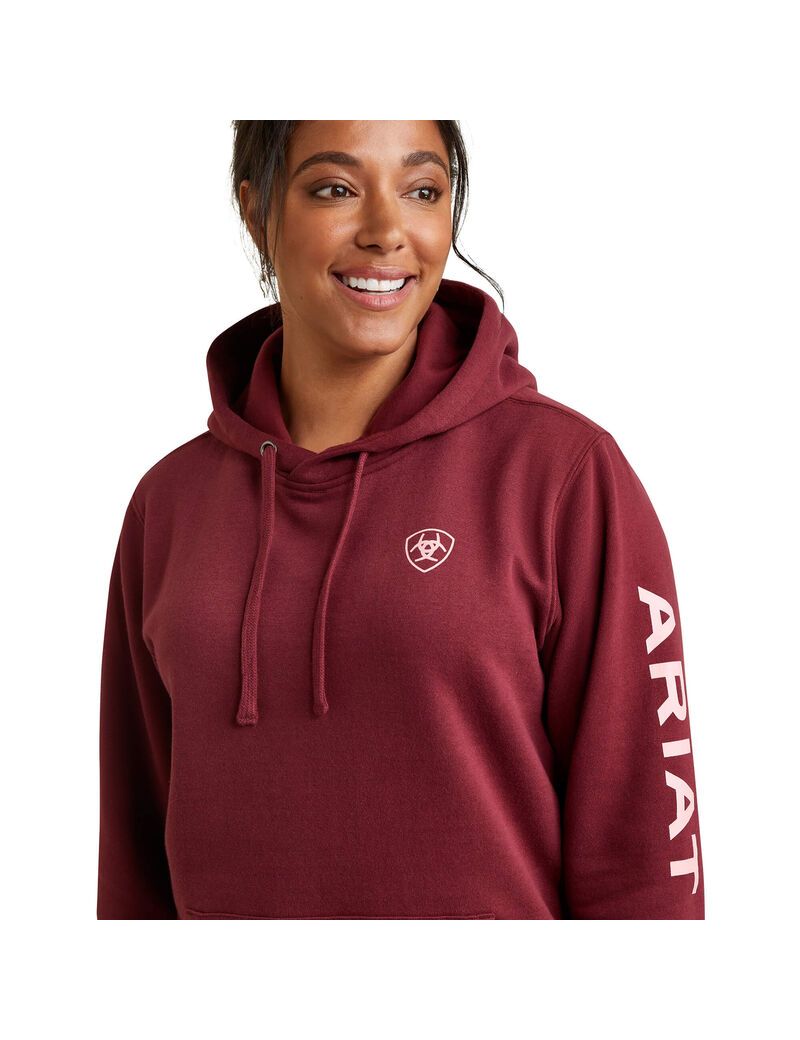 Sudadera Con Capucha Ariat Logo Multicolor | TPW708193