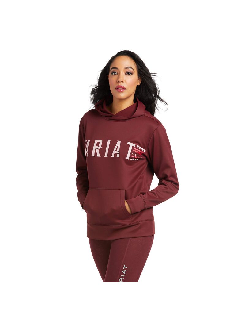 Sudadera Con Capucha Ariat Logo Tek Vino | SPM623981