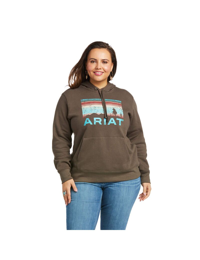 Sudadera Con Capucha Ariat REAL Arm Logo Multicolor | CNJ694382