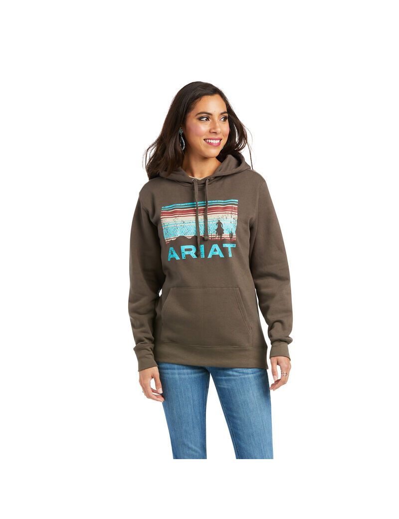 Sudadera Con Capucha Ariat REAL Arm Logo Multicolor | CNJ694382