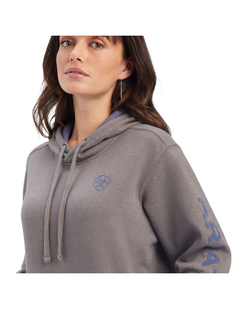 Sudadera Con Capucha Ariat REAL Arm Logo Grises | FIB325976