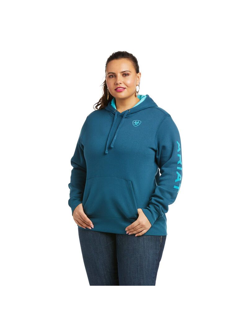 Sudadera Con Capucha Ariat REAL Arm Logo Multicolor | VSP913702