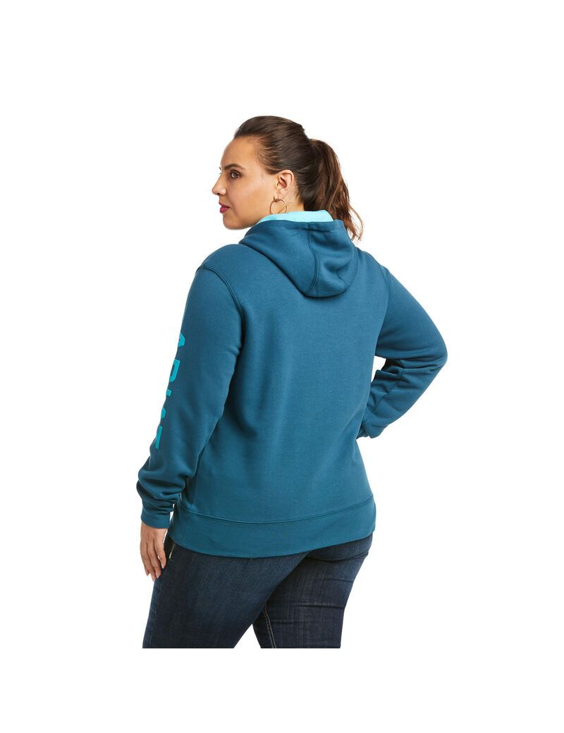 Sudadera Con Capucha Ariat REAL Arm Logo Multicolor | VSP913702