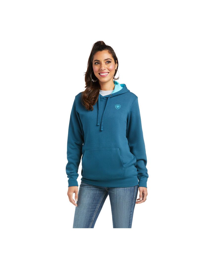 Sudadera Con Capucha Ariat REAL Arm Logo Multicolor | VSP913702