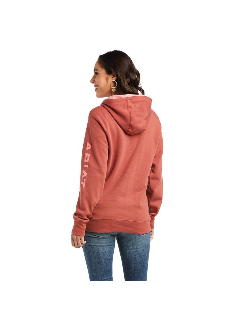 Sudadera Con Capucha Ariat REAL Arm Logo Multicolor | XTM517490