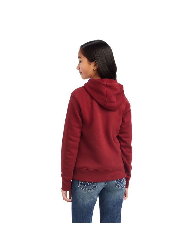 Sudadera Con Capucha Ariat REAL Beartooth Rojos Oscuro | UBJ567340