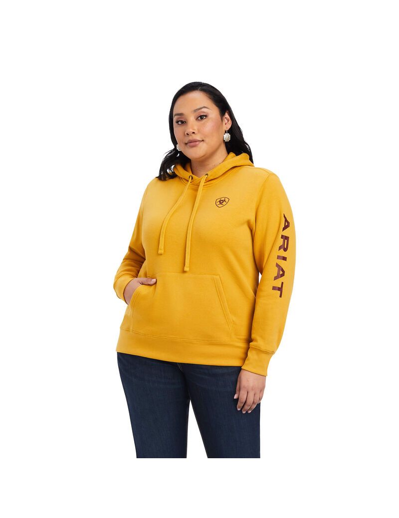 Sudadera Con Capucha Ariat REAL Classic Arm Logo Dorados | AKZ326917