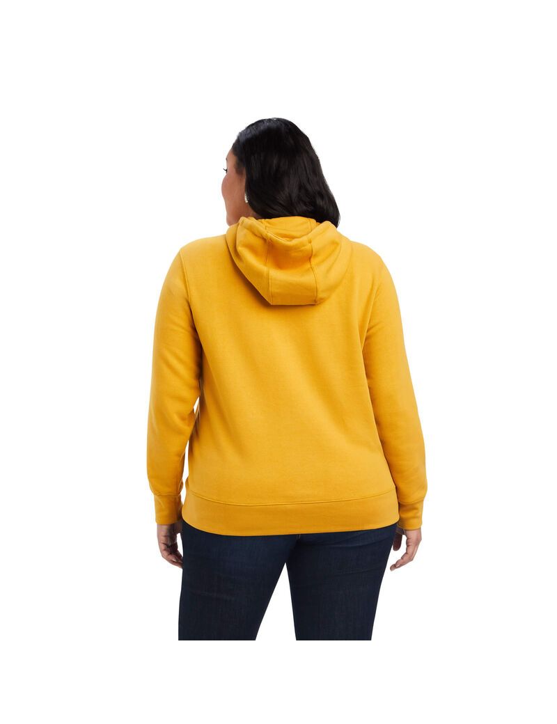 Sudadera Con Capucha Ariat REAL Classic Arm Logo Dorados | AKZ326917