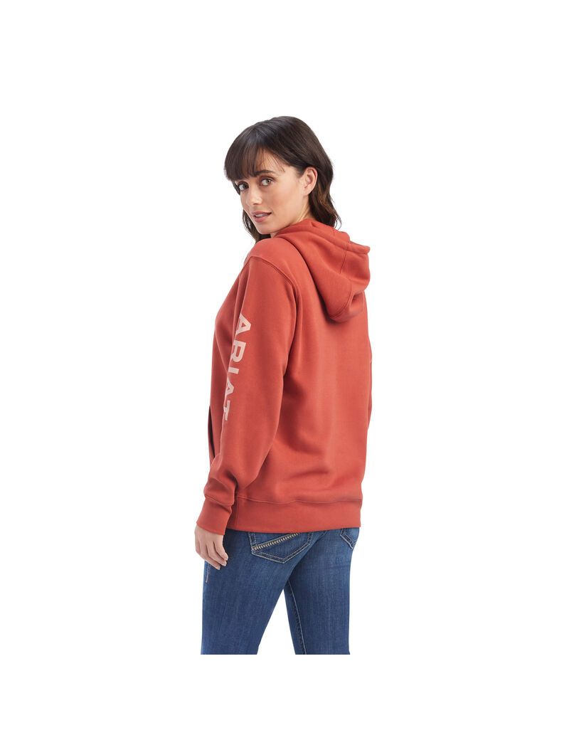 Sudadera Con Capucha Ariat REAL Classic Arm Logo Multicolor | RSE940863