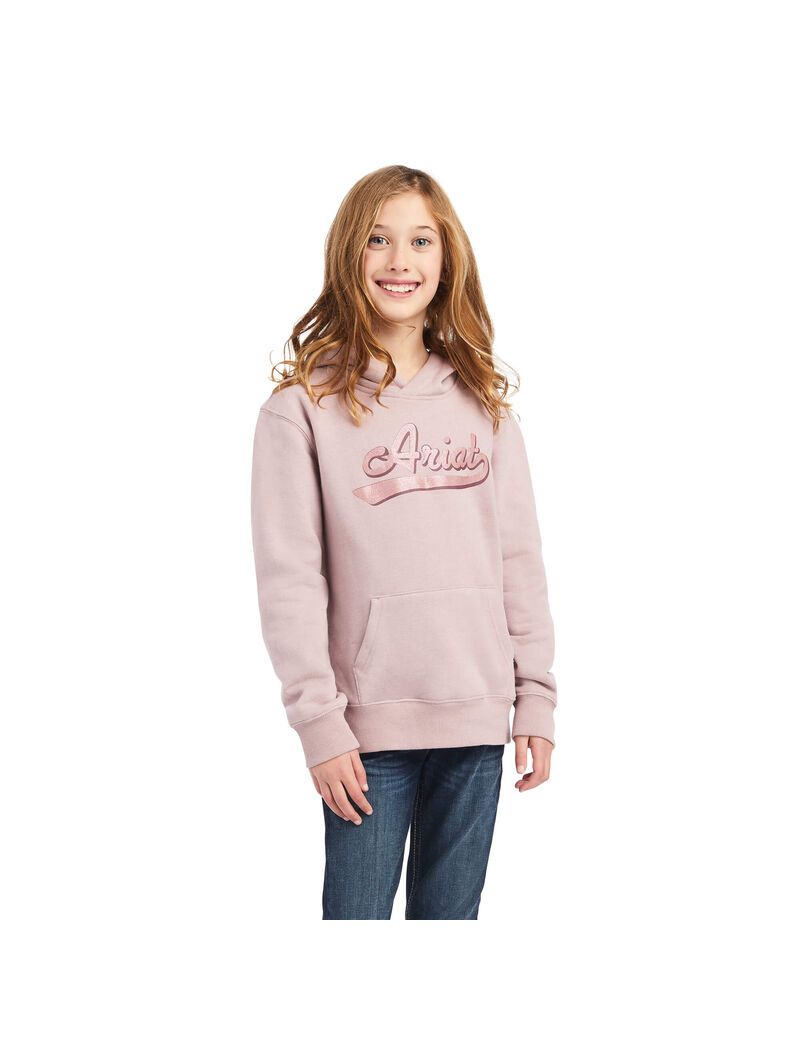 Sudadera Con Capucha Ariat REAL Glitter Logo Rosas | XFR194038