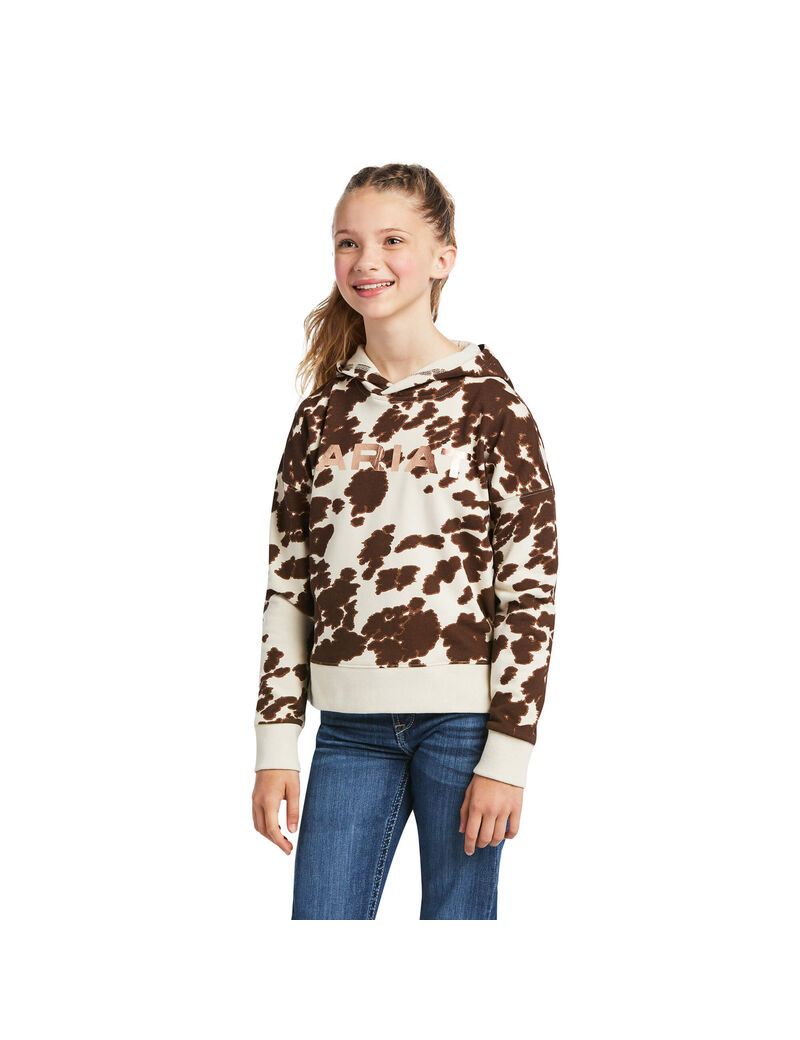 Sudadera Con Capucha Ariat REAL Pony Multicolor | RCQ236791