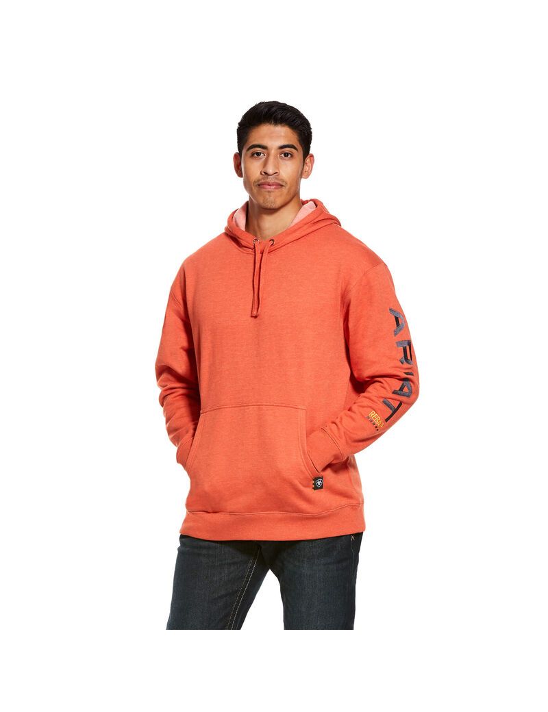 Sudadera Con Capucha Ariat Rebar Estampados Multicolor | DFS083517