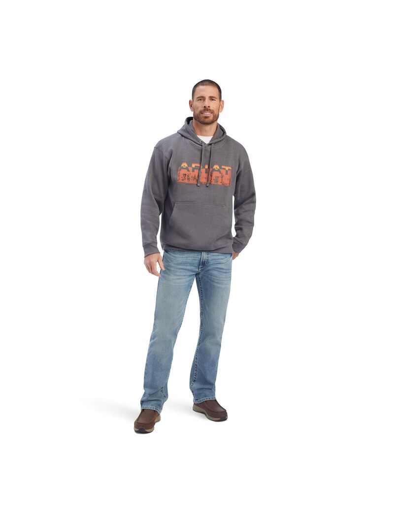 Sudaderas Ariat Desert Roam Grises | AQN789524