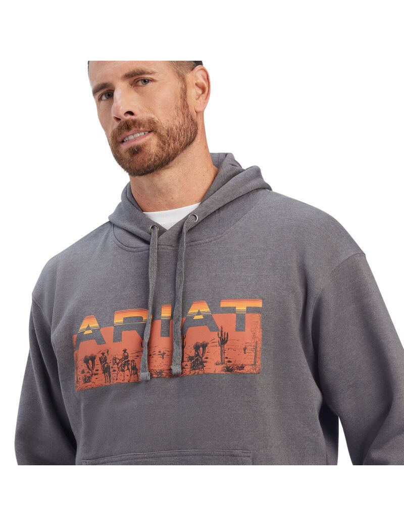 Sudaderas Ariat Desert Roam Grises | AQN789524