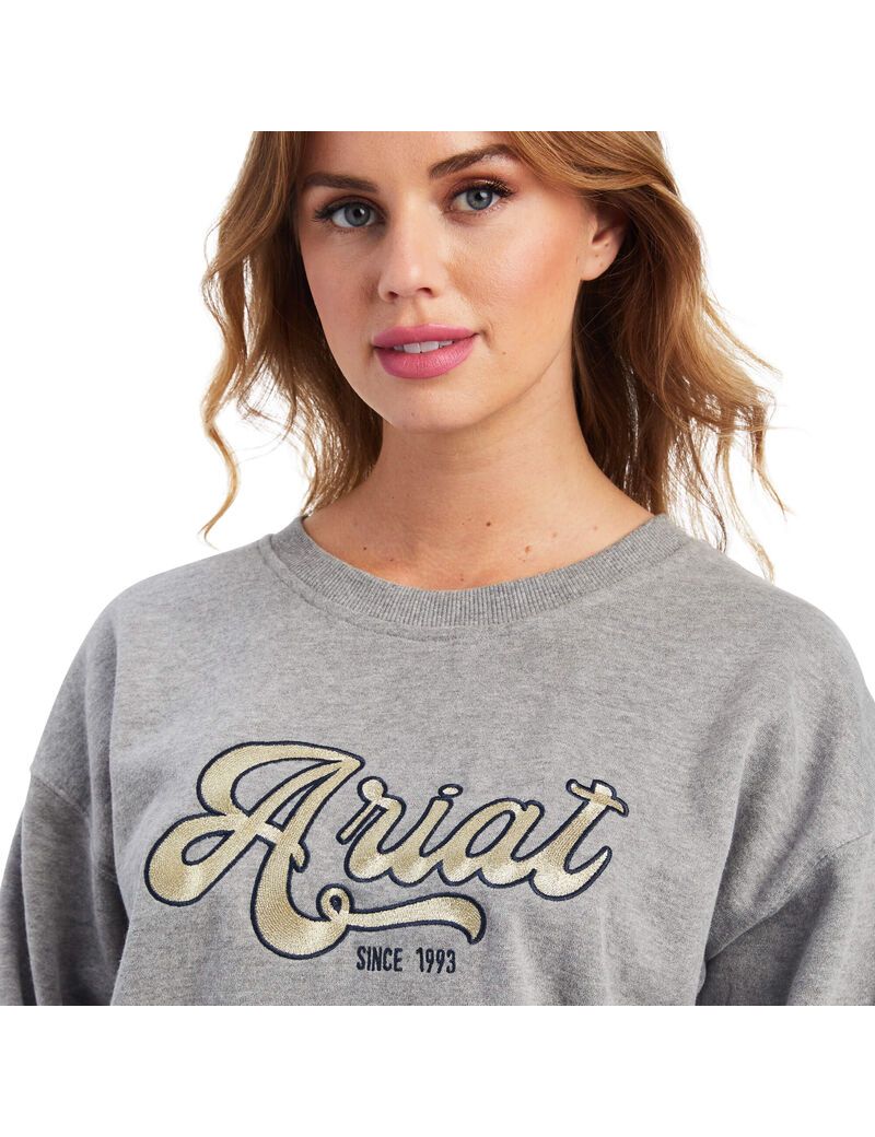 Sudaderas Ariat REAL Metallic Varsity Logo Grises | TWE735216