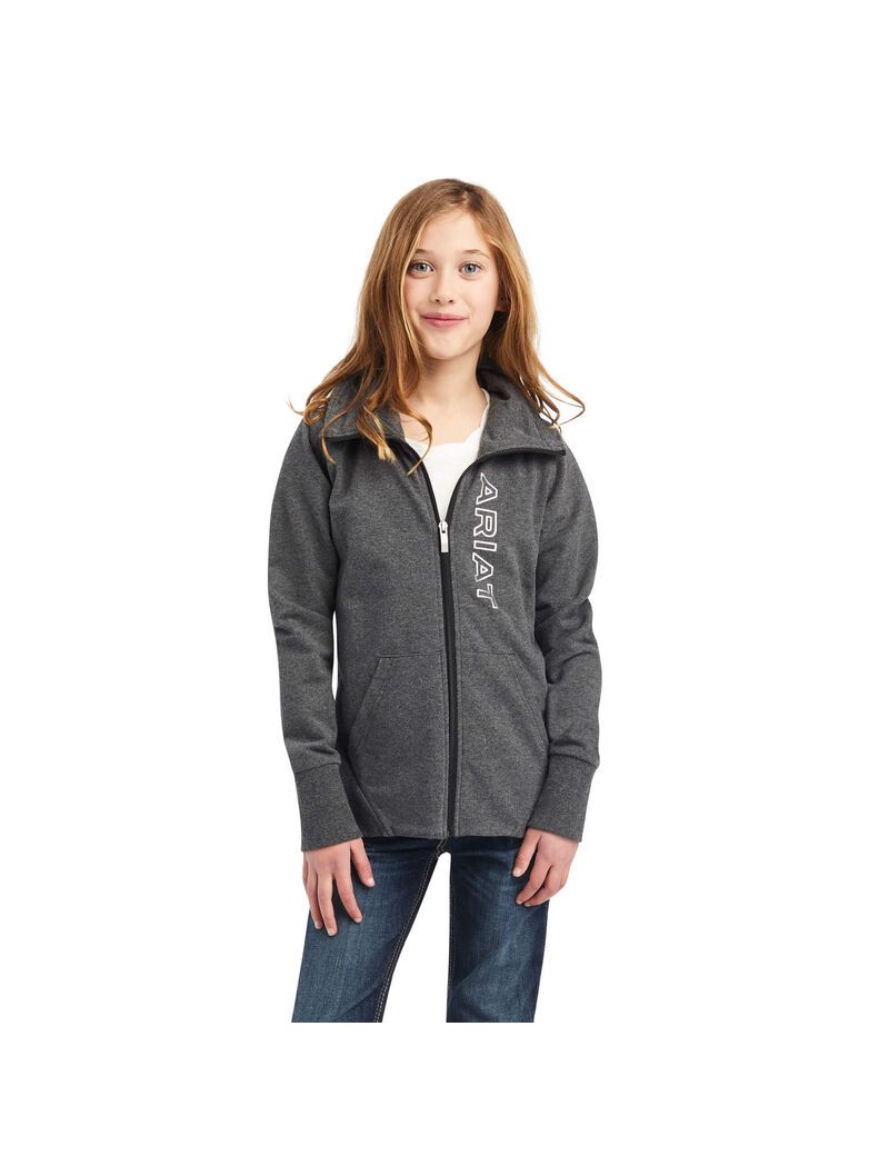 Sudaderas Ariat Team Logo Full Zip Grises | KAS241780