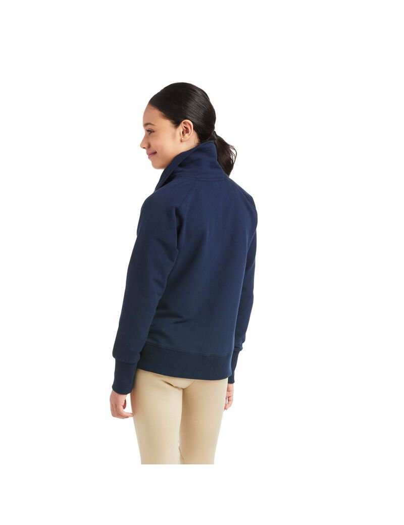 Sudaderas Ariat Team Logo Full Zip Multicolor | VED362495