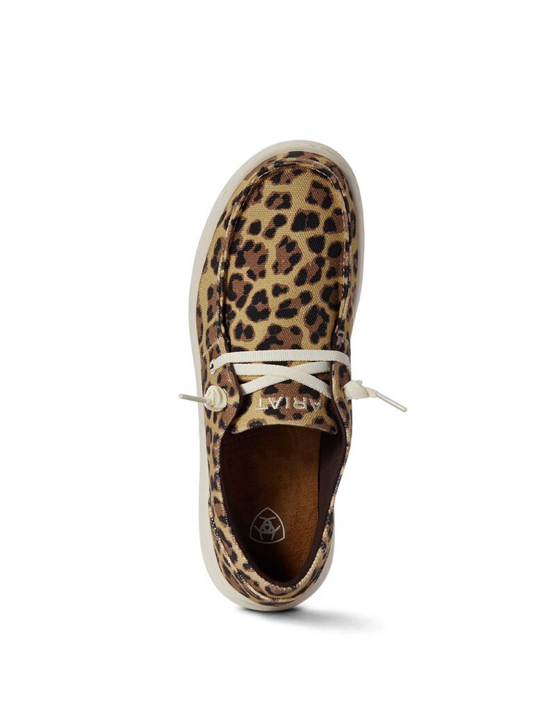 Tenis Ariat Hilo Leopardo | GBE689071